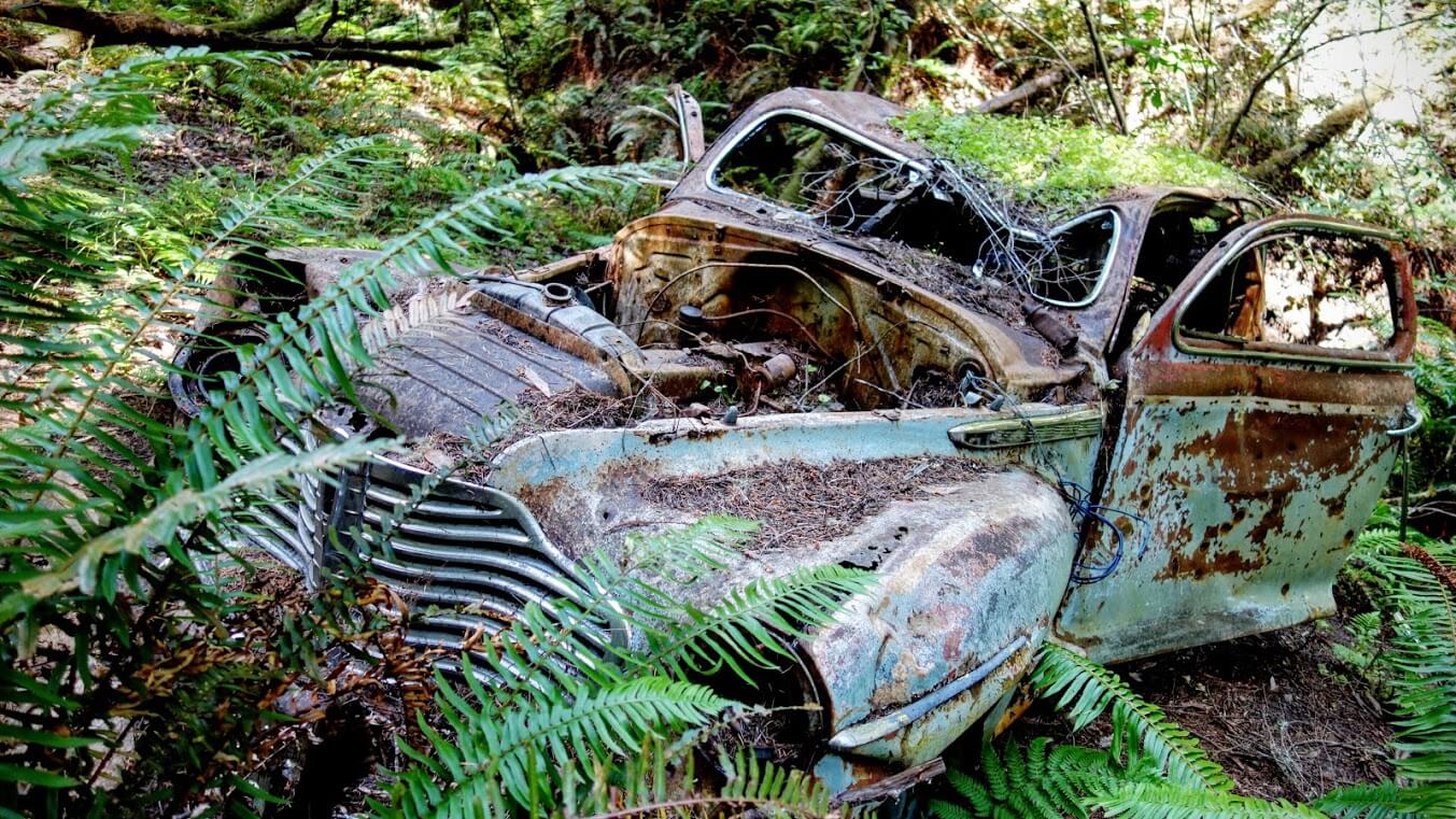 Conservationists on Wednesday Nov. 14, 2012, near the Peters Creek Loop  trail, in La Honda, Calif. where the Save the Redwoods League has agreed to  purchase a parcel near the Peters Creek