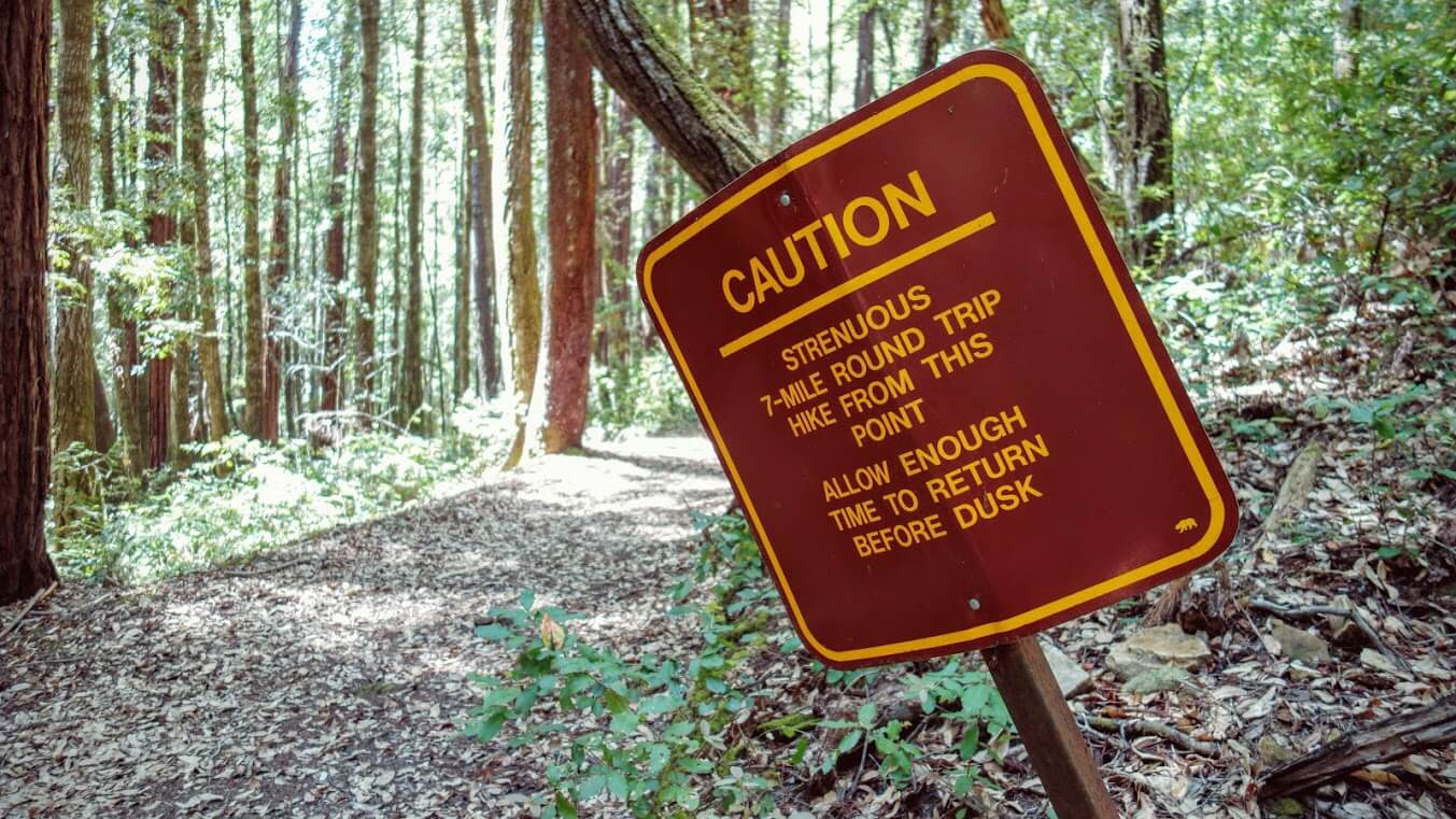 Portola redwoods clearance state park hiking