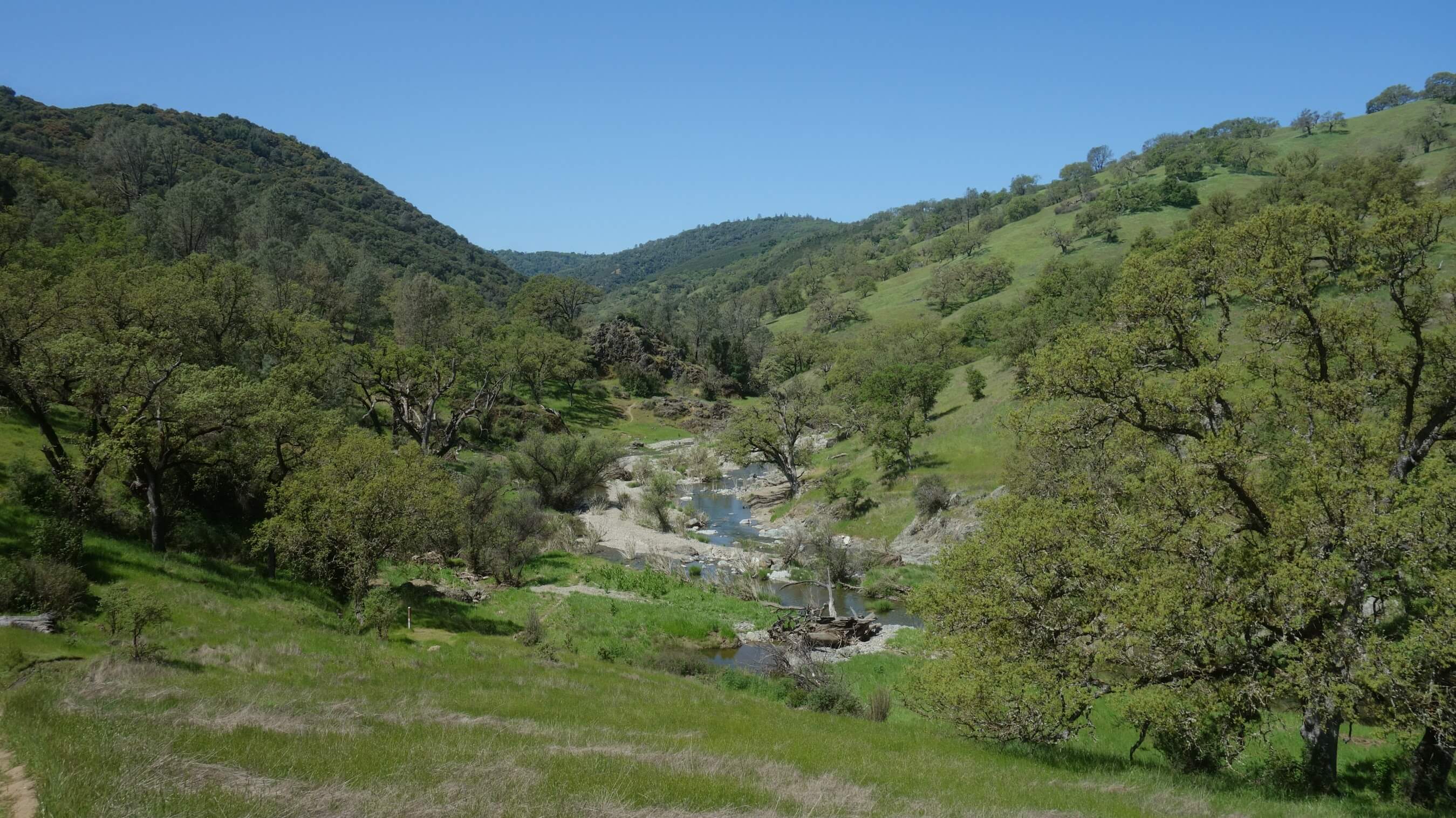 Henry Coe Hiking in California